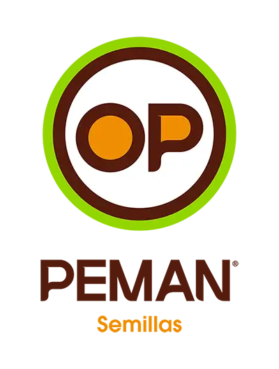 PEMAN